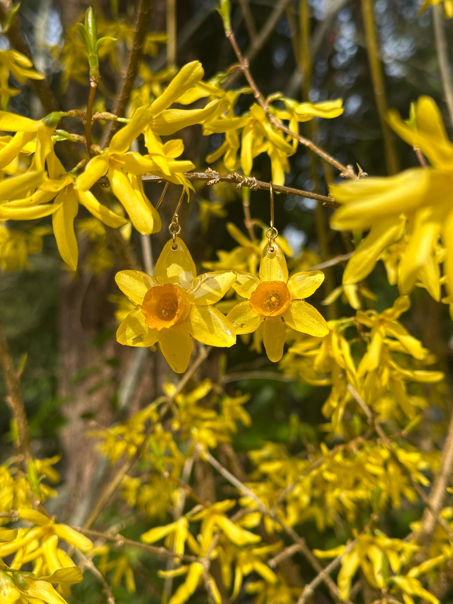 3D Mini Daffodils
